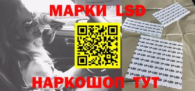 прущие грибы Будённовск