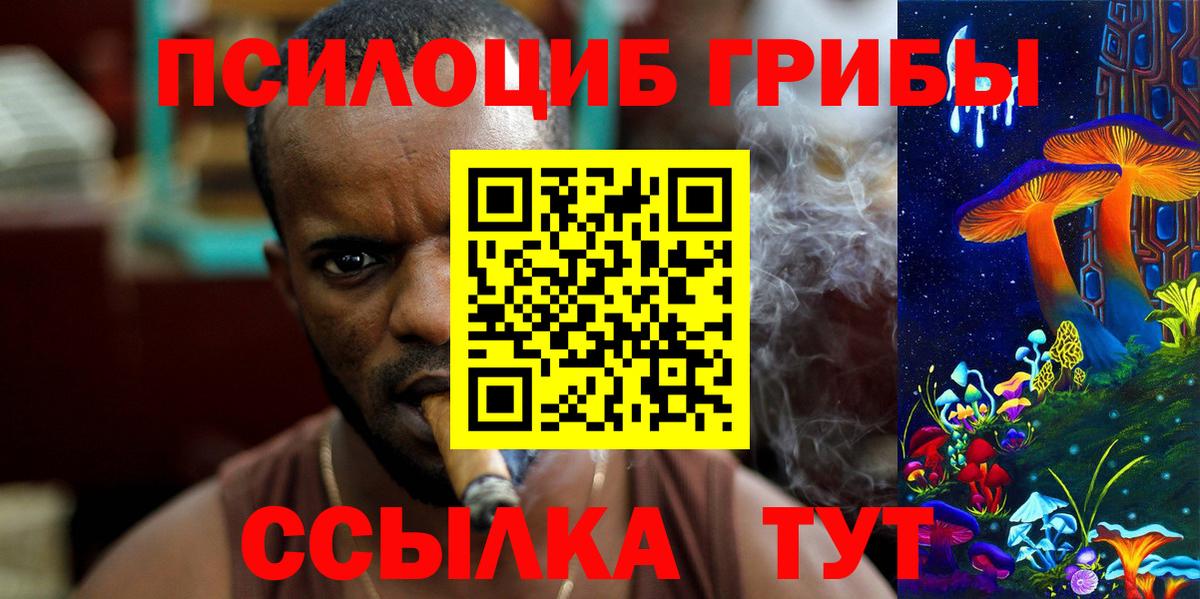 Псилоцибиновые грибы мицелий Чита