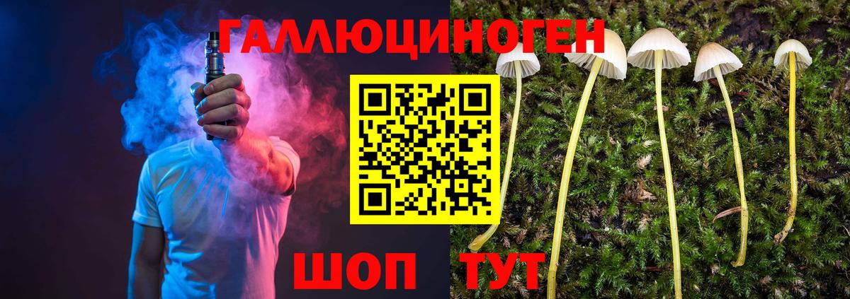 Галлюциногенные грибы Magic Shrooms  Галлюциногенные грибы Cubensis  Вход с VPN  Чита 