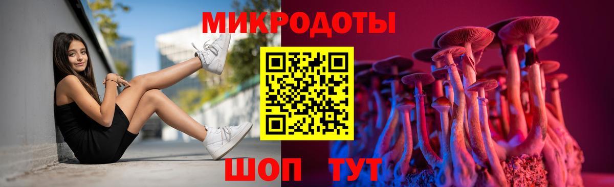 Псилоцибиновые грибы мухоморы  Чита  дарнет шоп  Галлюциногенные грибы мухоморы 