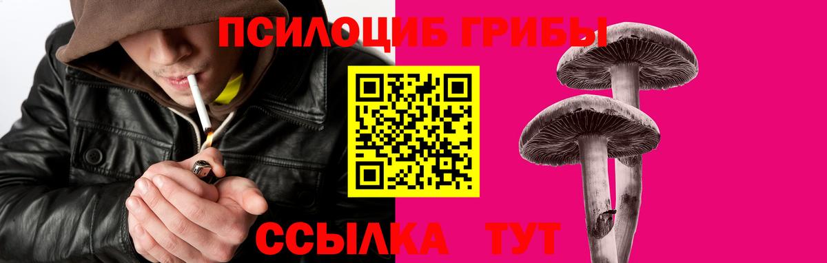 Псилоцибиновые грибы GOLDEN TEACHER Чита